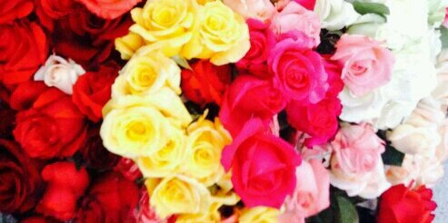 lilacarreras's profile banner image