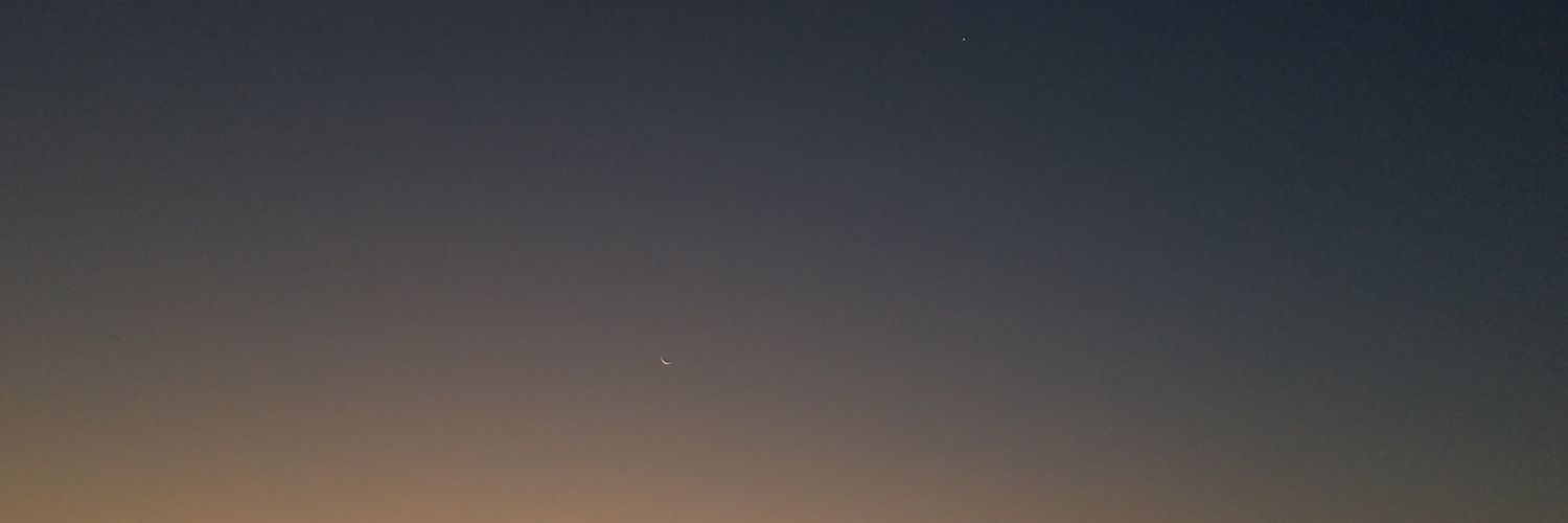 trashadaboat's profile banner image