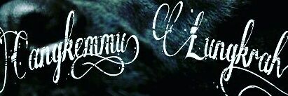 edyvisca_'s profile banner image