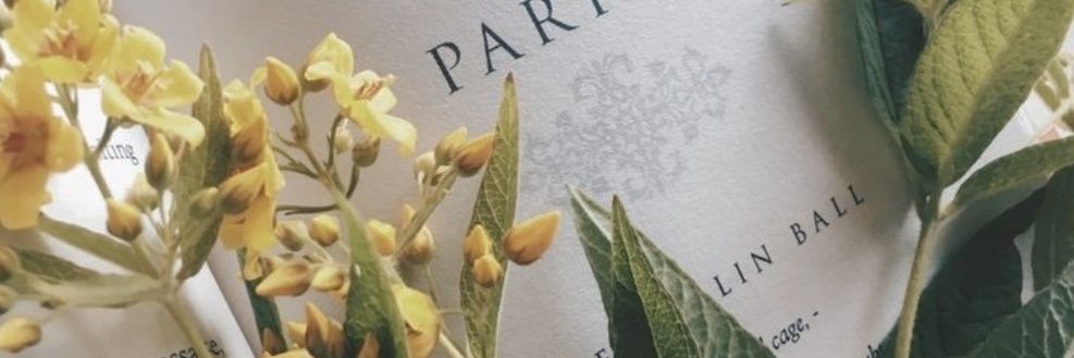 L0trmulti's profile banner image