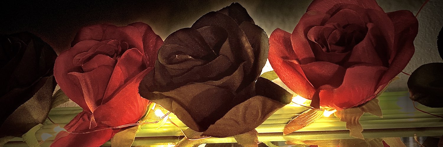 DymondNewton's profile banner image