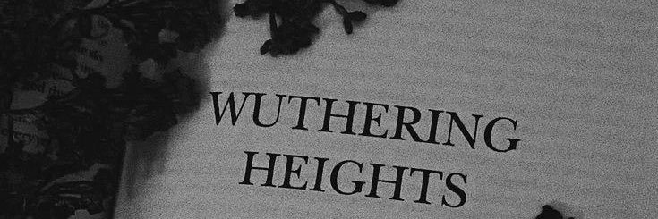 𝔩𝔞𝔲𝔯𝔢𝔫 🫀🥀 banner