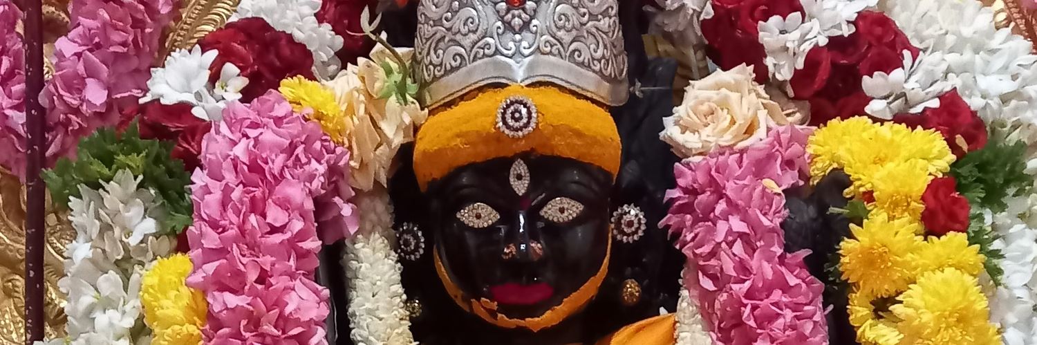 SheelaShankar9's profile banner image