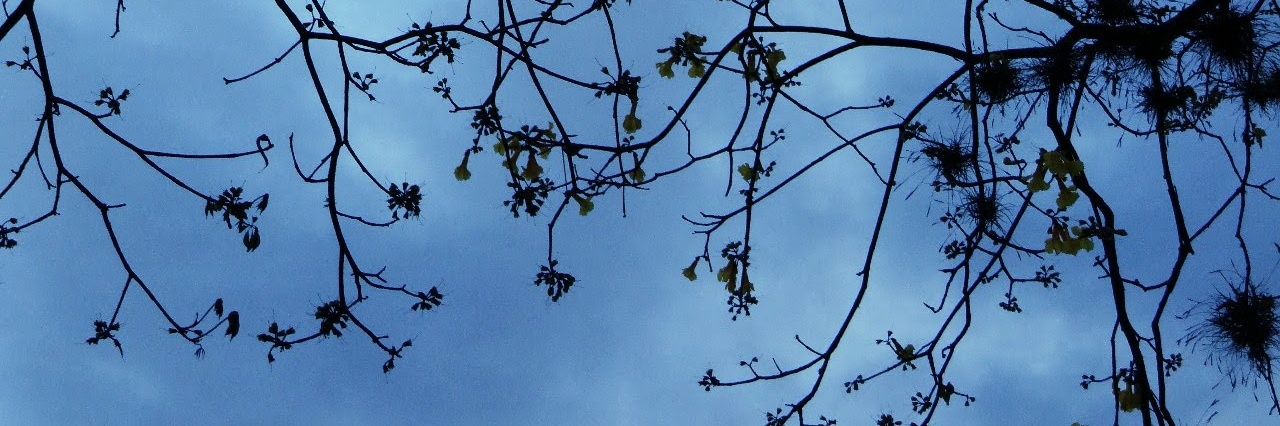 mariancmp_'s profile banner image