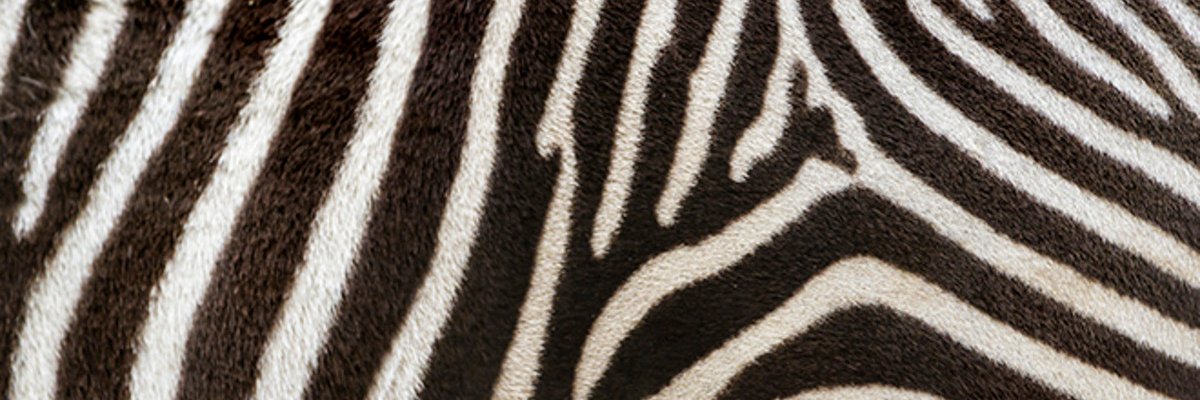 k banner