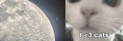 𝑴irella. 🧪 | VAI VER O THE WEEKND banner