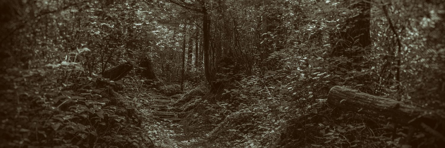 themonstrouseye's profile banner image