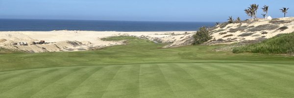 gavindoyle0 Profile Banner