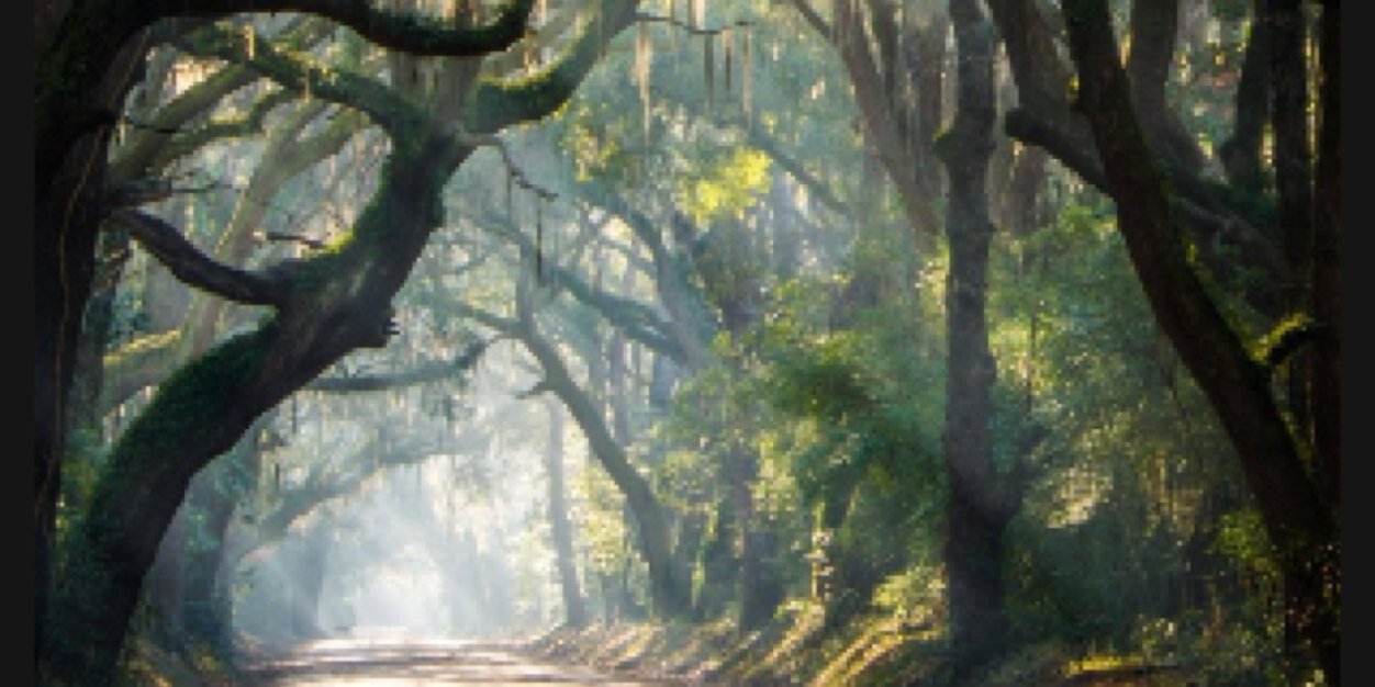 aubscobs's profile banner image
