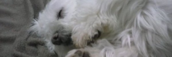 0MUCAHD Profile Banner