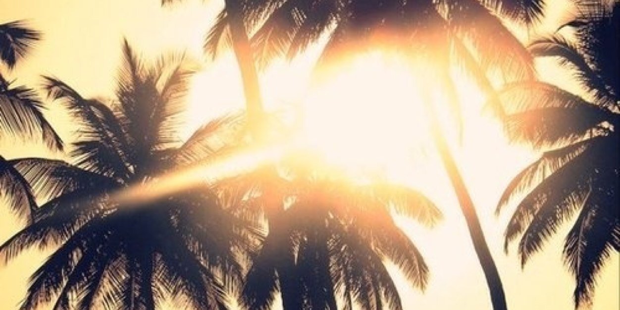missslizz's profile banner image