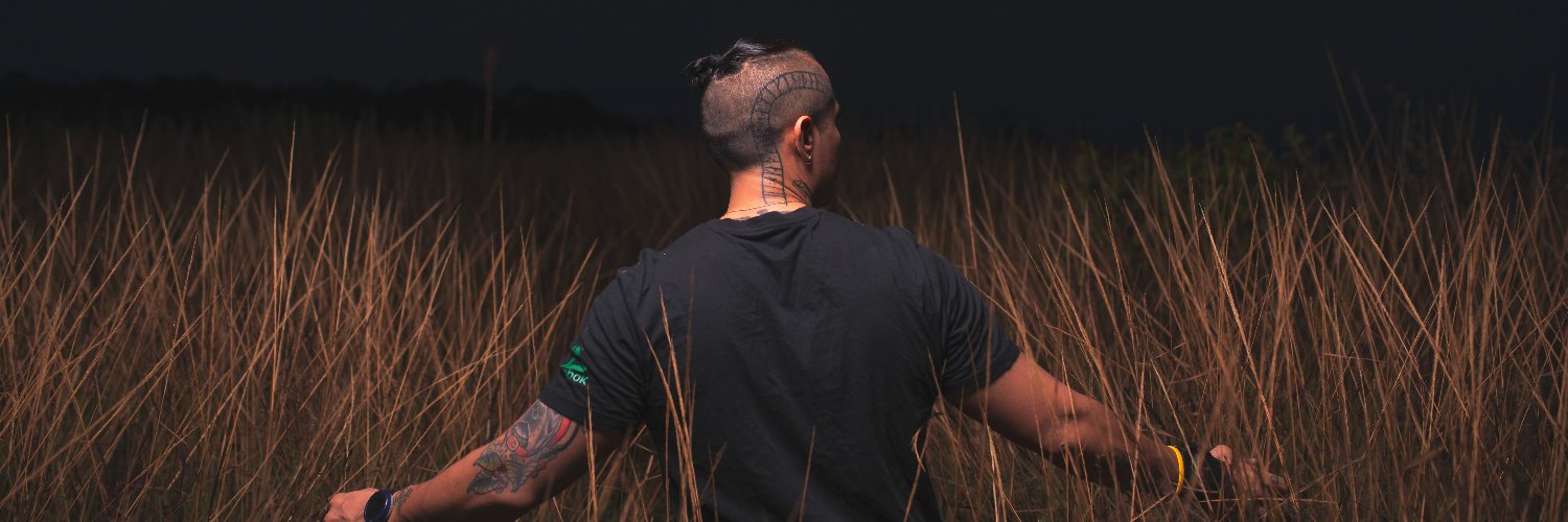 sebasmostro's profile banner image
