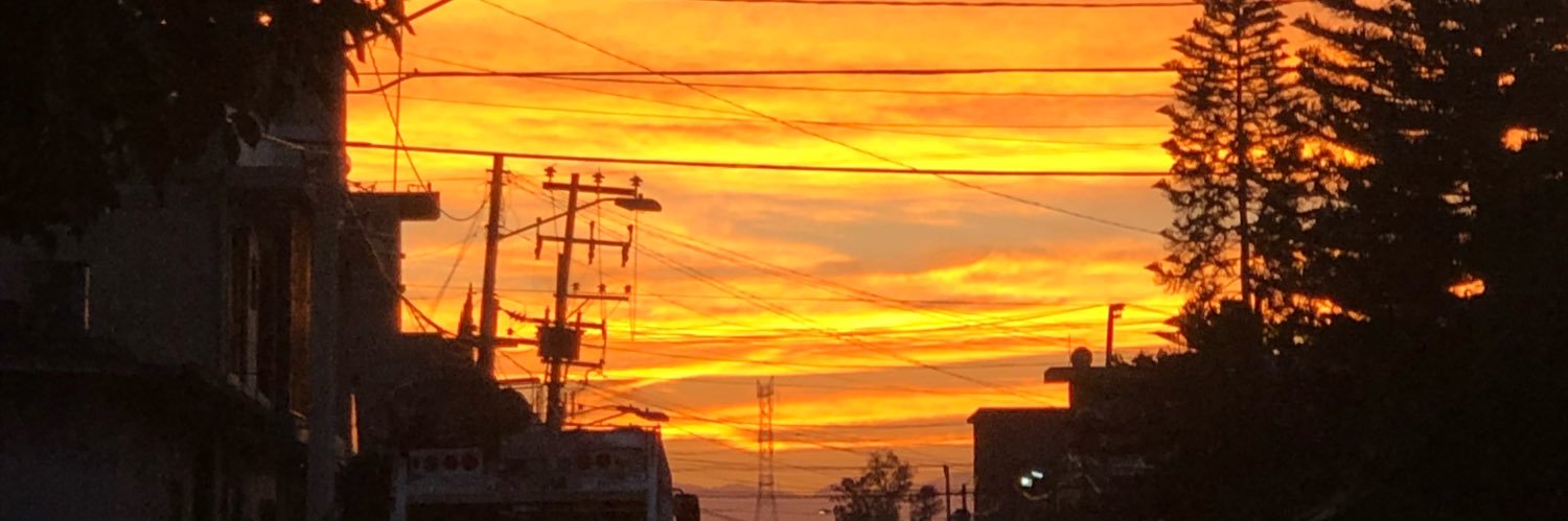 drizzybzly's profile banner image