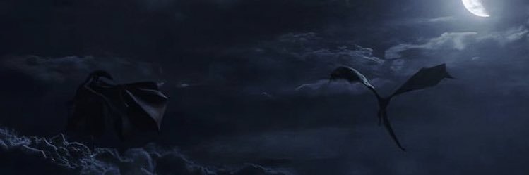 jeris johnson's banner
