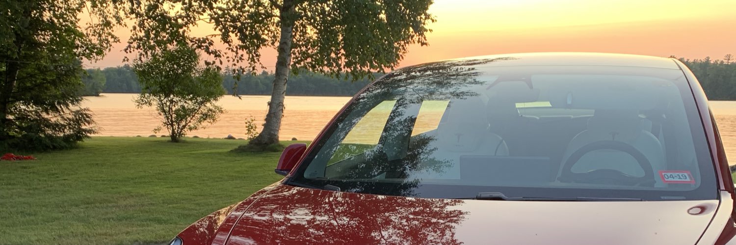 TeslaFSD - Dave banner