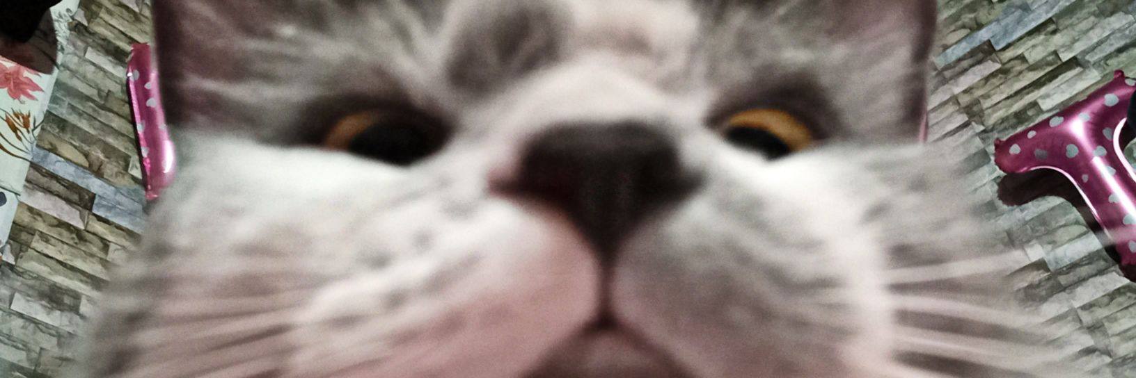 _Atticus1's profile banner image