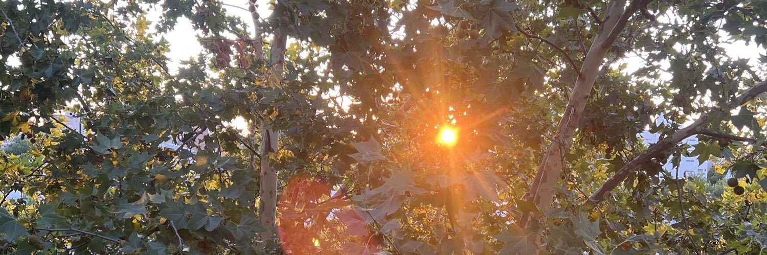GuidoFortuna's profile banner image
