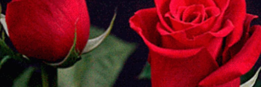 DeePayne0's profile banner image