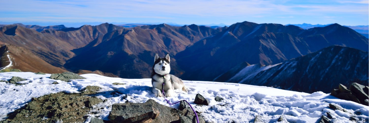 The Virtual Sherpa banner