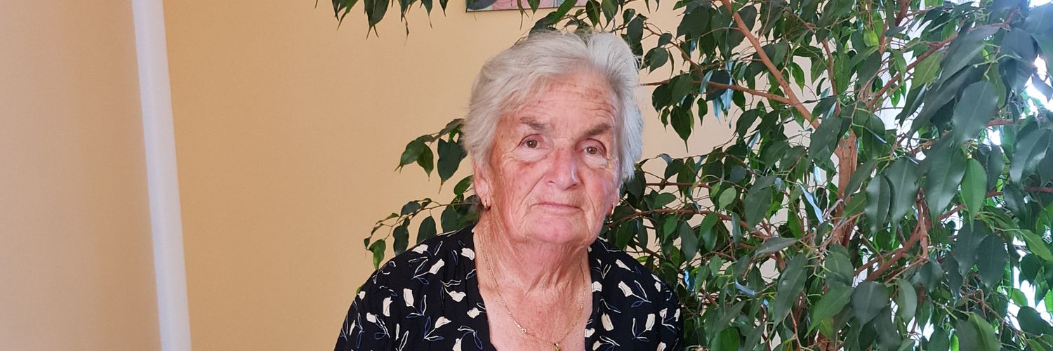 Mihailo Todorović banner