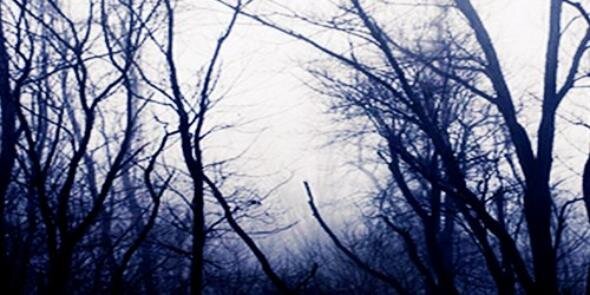 poooooony's profile banner image
