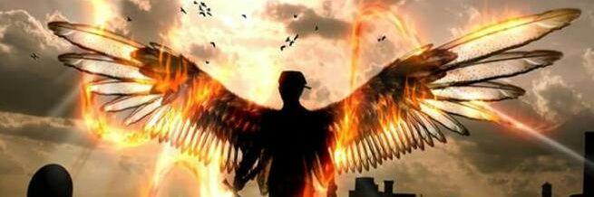 WarriorWings's profile banner image