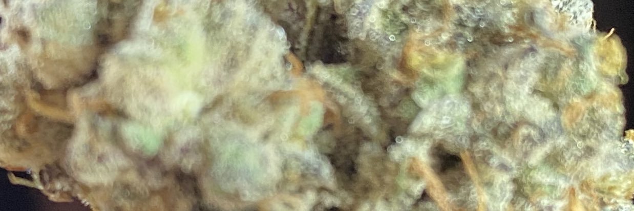 vix5_3's profile banner image