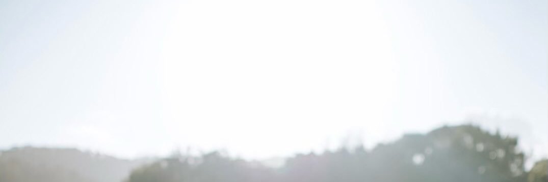 Asiu's profile banner image