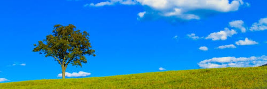 ようこ🍓 banner