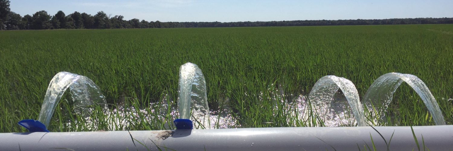 Mike Hamilton banner