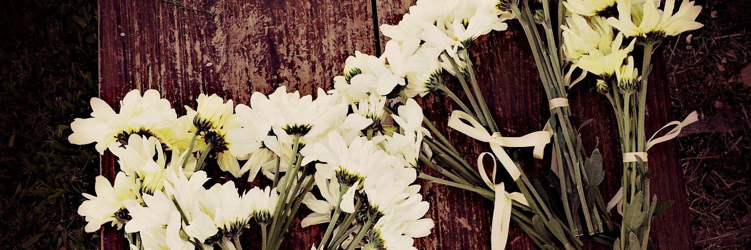 starty_23's profile banner image