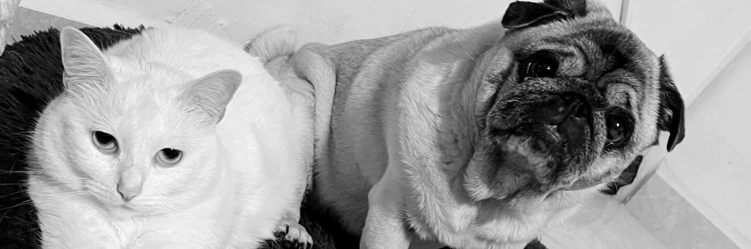 baabyblue94's profile banner image