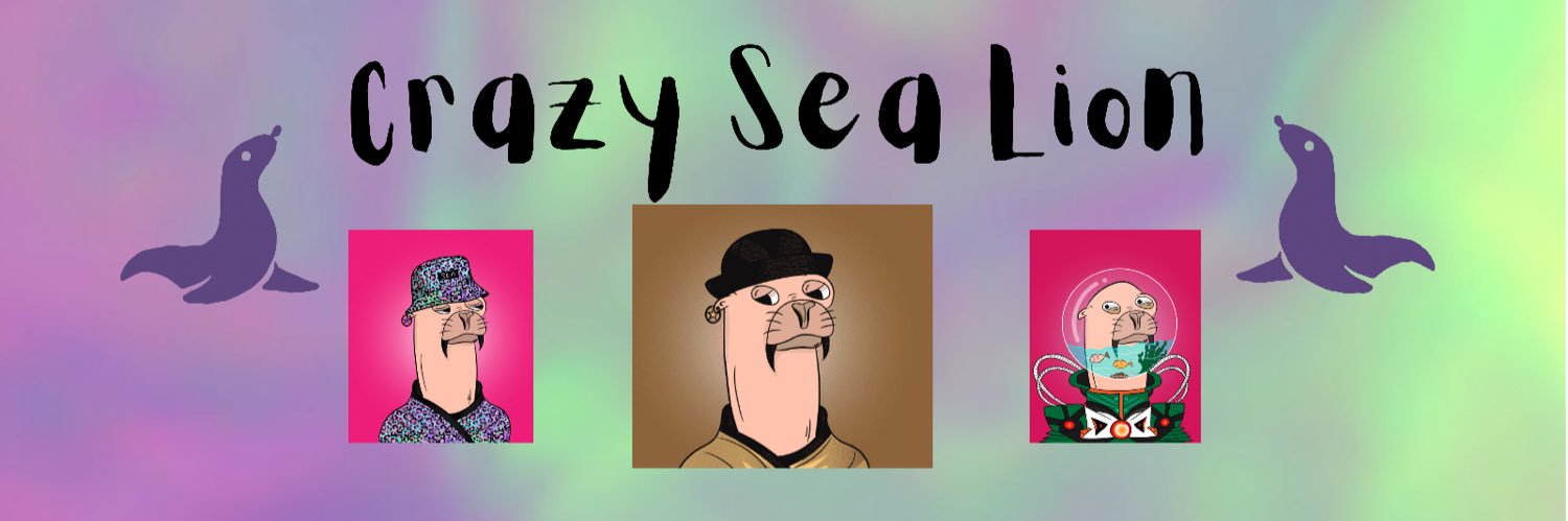 Crazy Sea Lion banner