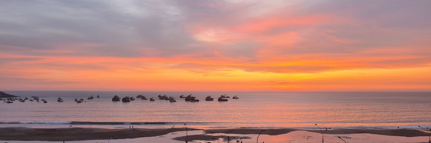 Janet Pichilingue banner