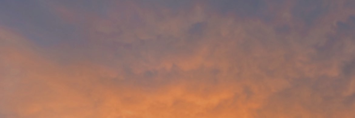 MelissaRojasC's profile banner image