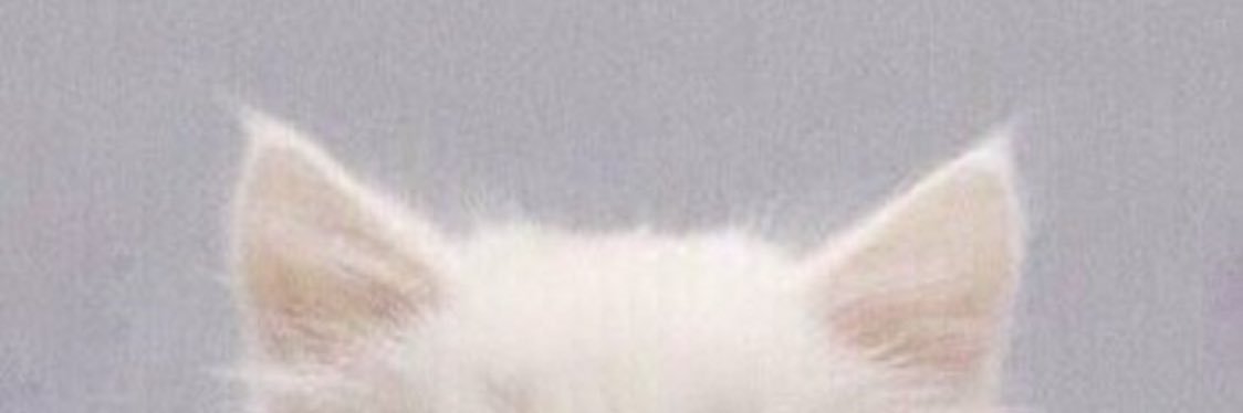 Me0L's profile banner image
