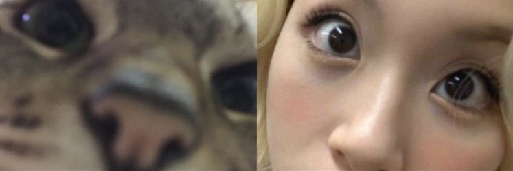 lknowchae's profile banner image