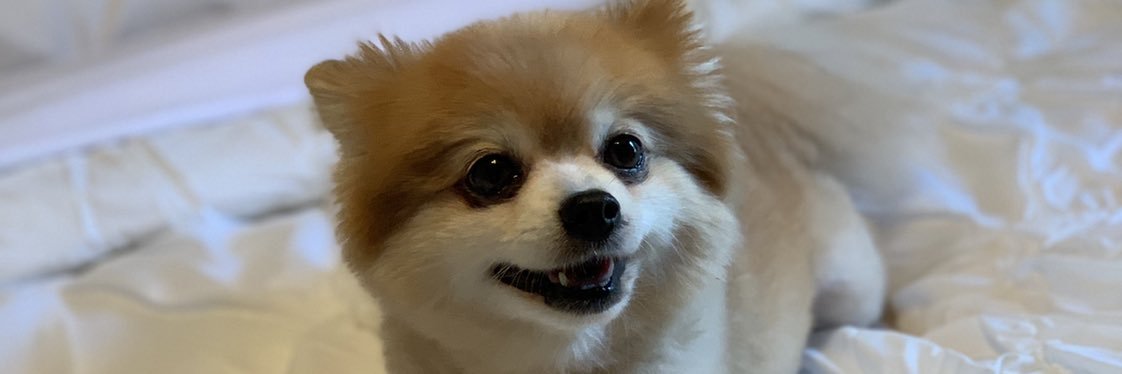 cheydunn96's profile banner image