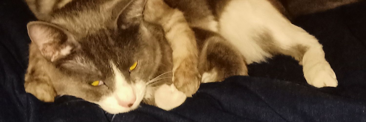 dopey666777's profile banner image