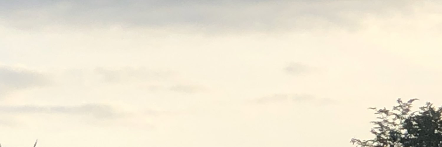 I_amimage's profile banner image