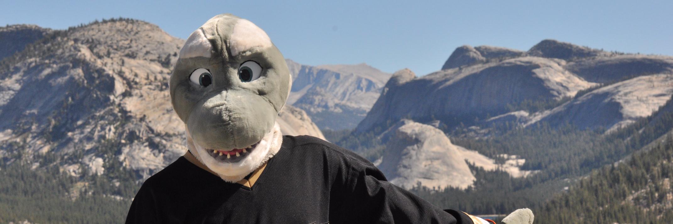 frostyorca's profile banner image
