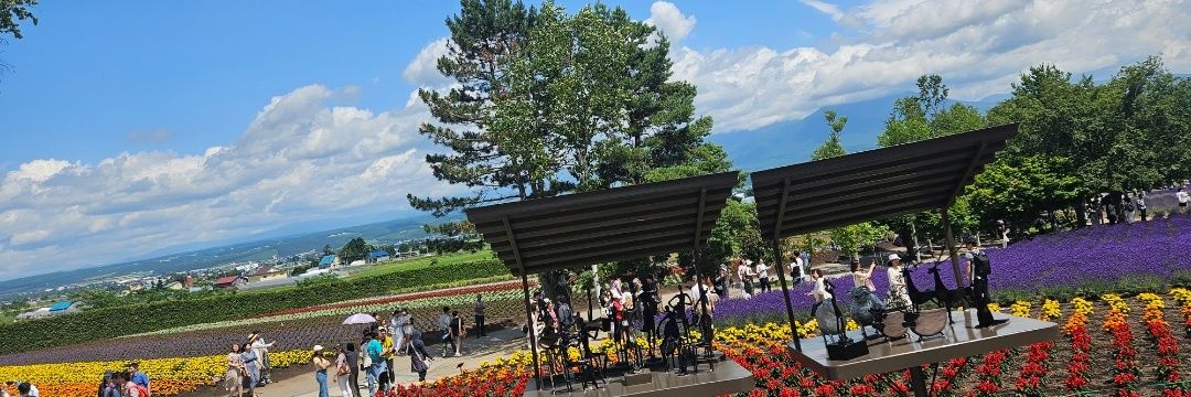 kaz(♡⩊♡) banner