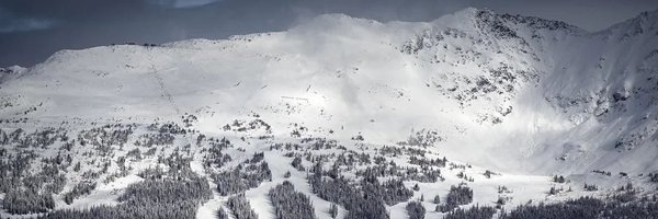Argonuts Profile Banner