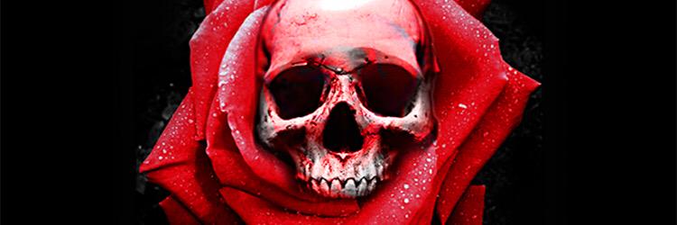SpooksJoya's profile banner image