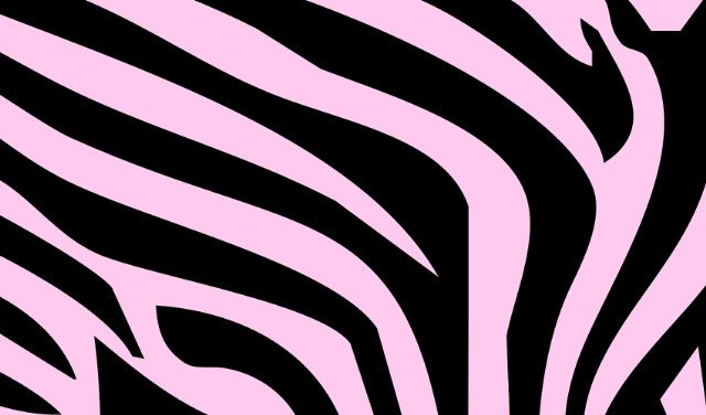 priandiani's profile banner image