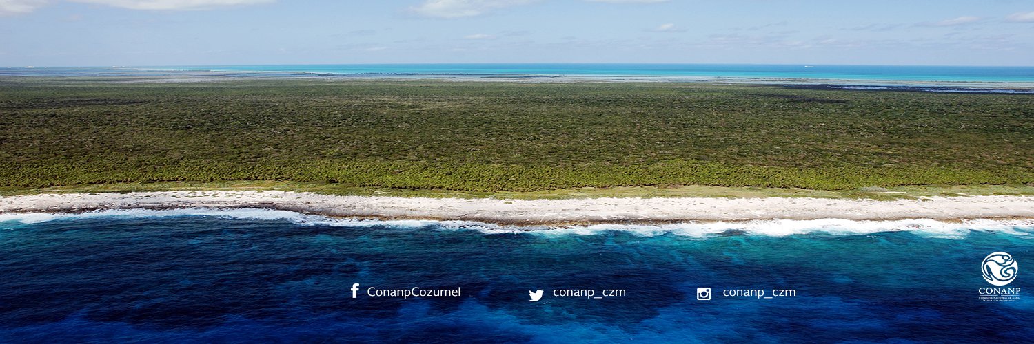 CONANP_CZM's profile banner image