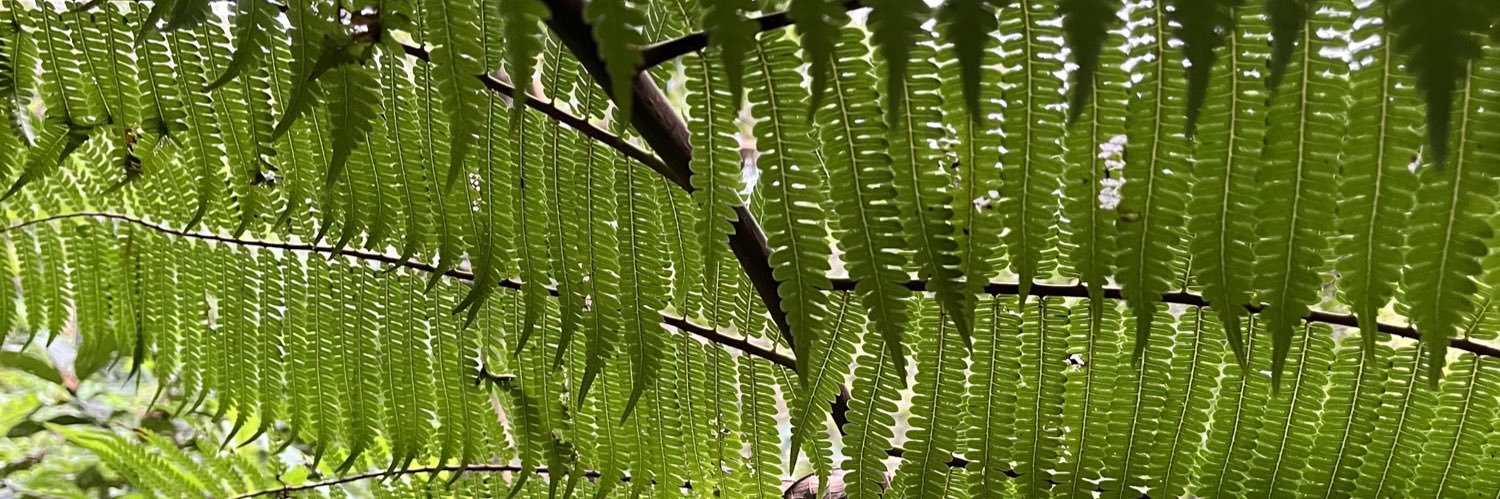 MichaelLierow's profile banner image