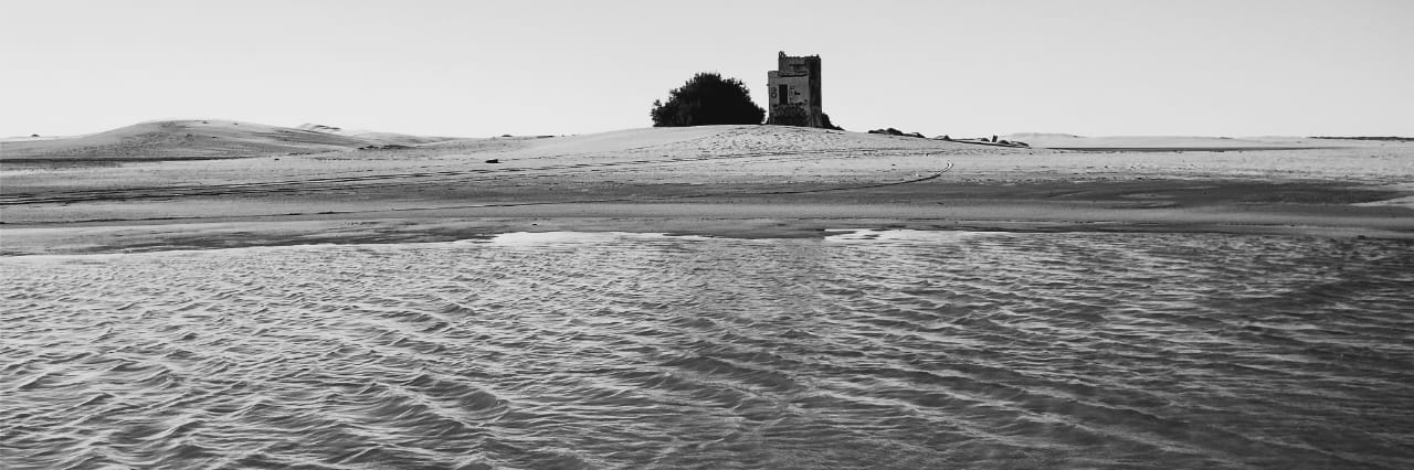 Emilia 💛🇺🇦🇦🇷 banner