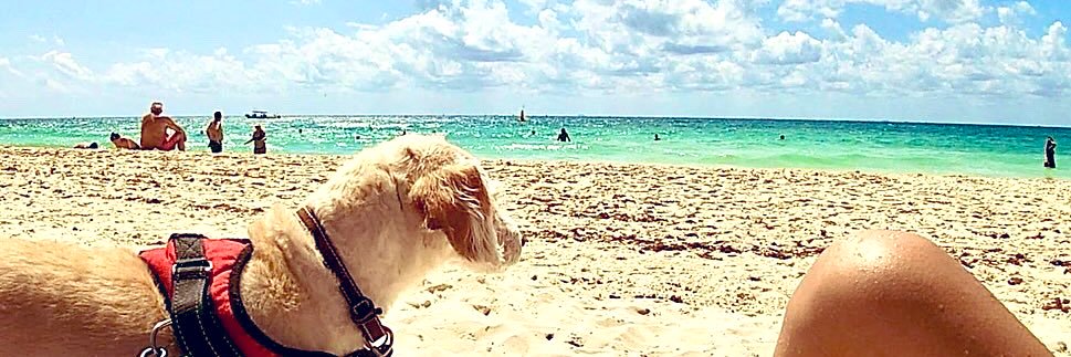 gabyftsr's profile banner image