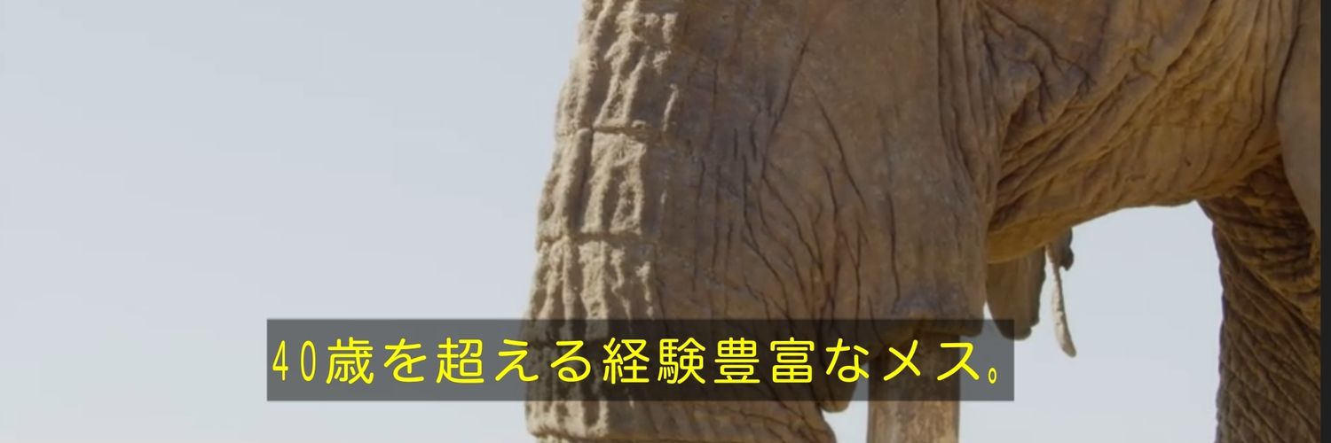 三代目工口まや🍆🥑🌵🥒🍑🍄‍🟫🦪 banner